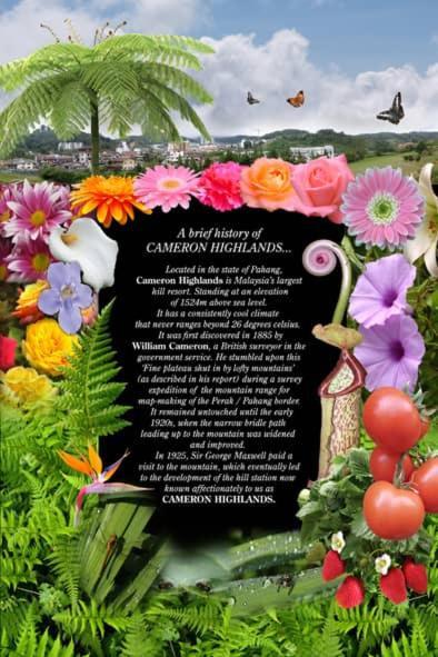 Hillview Inn Cameron Highlands Promo Tanah Rata Luaran gambar